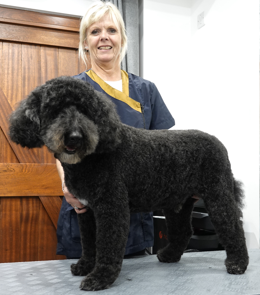 Our very own Dave after a little trim