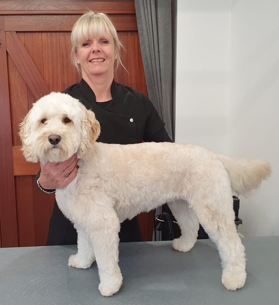 Teddy absolutely loved her groom. Such a lovely lady!