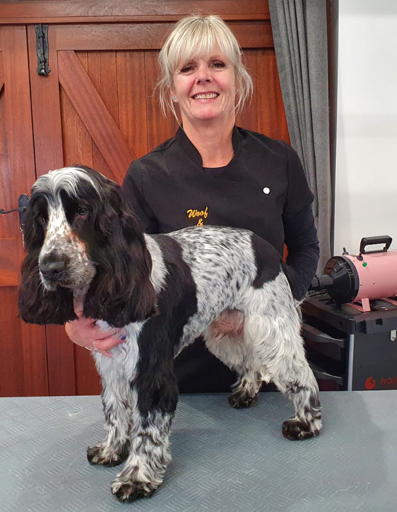 Ralph just had his first ever groom, he was such a good boy!