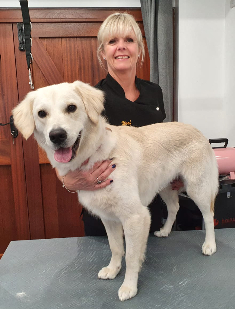 As her name suggests, Joy was an absolute joy to give a bath and de-shed. She never stopped smiling!