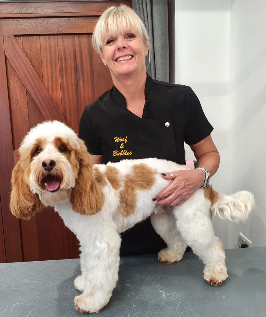 Oakley - a delight to groom and pamper!!