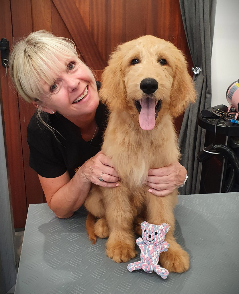 Willow joins us for a Puppy bath and trim.