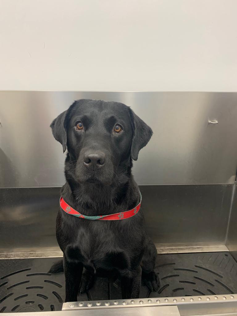 Murphy just loved the bath!